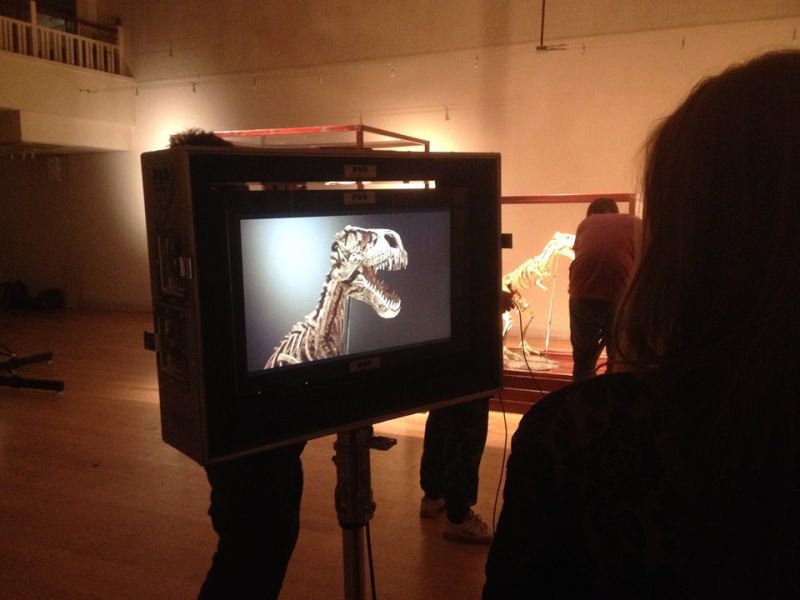 hire a dinosaur skeleton fossil unique event hire hire a gorilla for tv film events