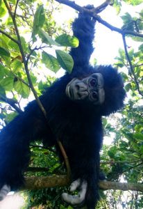 unique event hire hire a gorilla for tv film hire a baby gorilla events monkey party monkey rain forest pr stunt