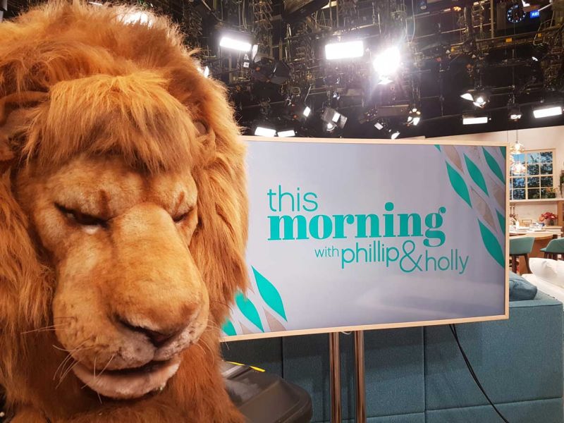 Lion on this morning Lions on this morning best pics on this morning tv show Holly and phil with a lion Holly and Phil with a lion