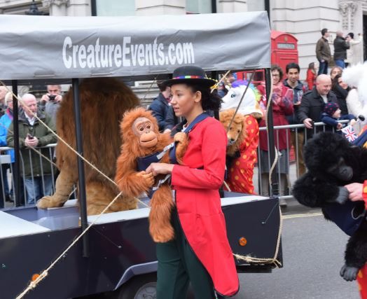 hire a baby orangutan hire an ornagutan hire a baby ape baby animal party hire a baby animal for a party
