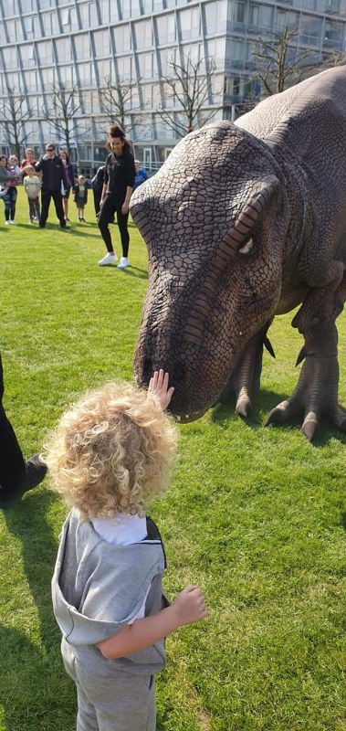 hire a dinosaur chomp the trex chomp T-rex hire a T-Rex hire a raptor hire a triceratops the most realistic dinosaur in the world Dinosaur hire uk dinosaur hire europe dnosaur hire saudi dinosaur hire qatar dinosaur hire a dinosaur rent a dinosaur