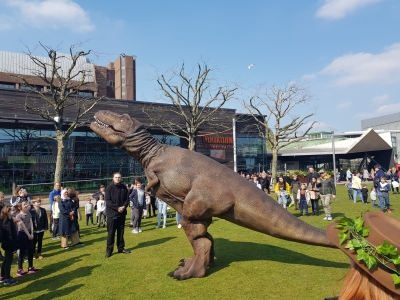 hire a t-rex Hire a dinosaur Hire Chomp the biggest T-Rex - largest dinosaurs for hire most realistic dinosaurs for events