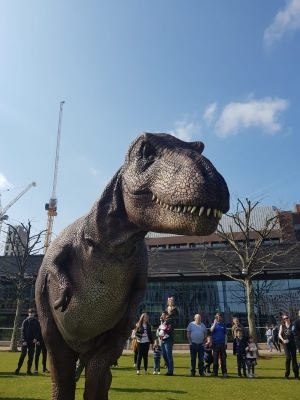 hire a dinosaur hire chomp the t-rex dino hire dinosaurs for events amazing dinosaurs for hire best dinosaurs for events