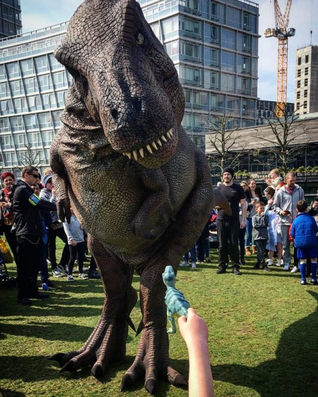 Hire a dinosaur hire a dino Chomp the T-Rex Hire a dinosaur Andy Day Dinosaur events Hire a dinosaur cbbc dinosaurs hire a dinosaur hire the biger most realistic dinosaur in the uk