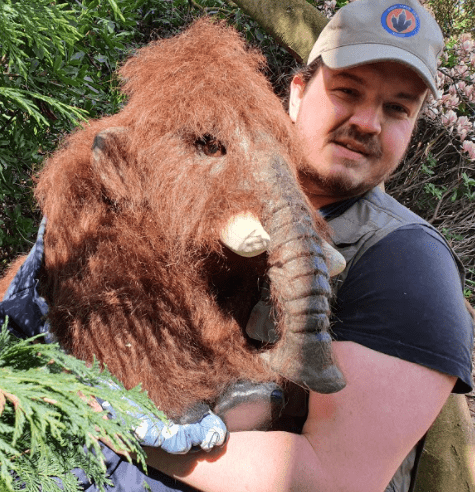 hire a baby wooly mammoth hire a wooly mammoth