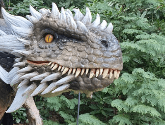 hire a dragon ire a fossil hire a trex skull t-rex skull hire prop hire dinosaur installations hire museum quality props for film safari theme animal hire