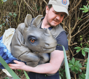 hire a baby rhino hire a rhino hire a wild animal for films and tv and events hire a realistic animal hire hire a fossil hire a trex skull t-rex skull hire prop hire dinosaur installations hire museum quality props for film