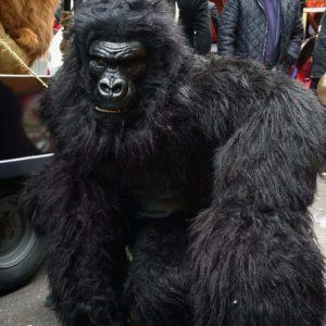 hire a gorilla hire an ape hire a monkey realistic monkey hire a realistic gorilla for film hire a fossil hire a trex skull t-rex skull hire prop hire dinosaur installations hire museum quality props for film