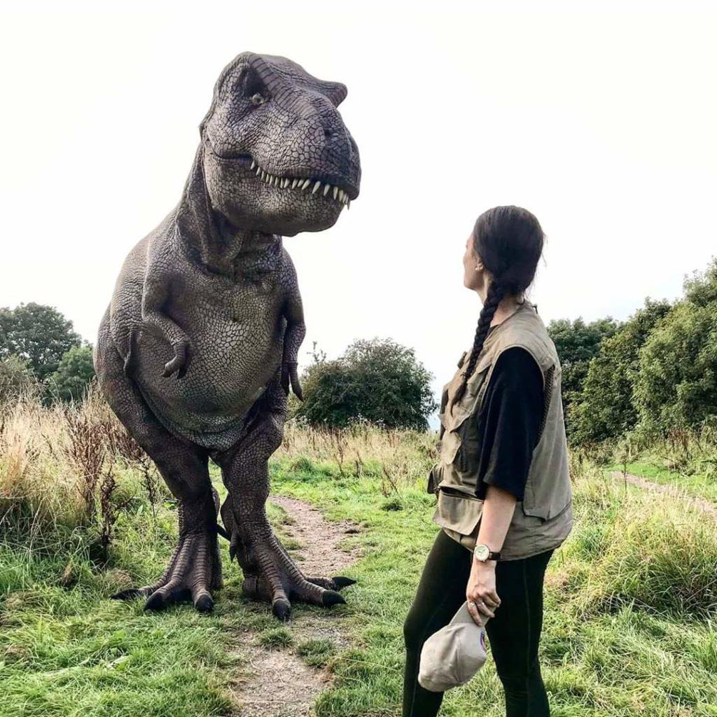 hire t-rex hire a realistic t-rex hire the most realistic trex hire a realistic dinosaur hire a fossil hire a trex skull t-rex skull hire prop hire dinosaur installations hire museum quality props for film
