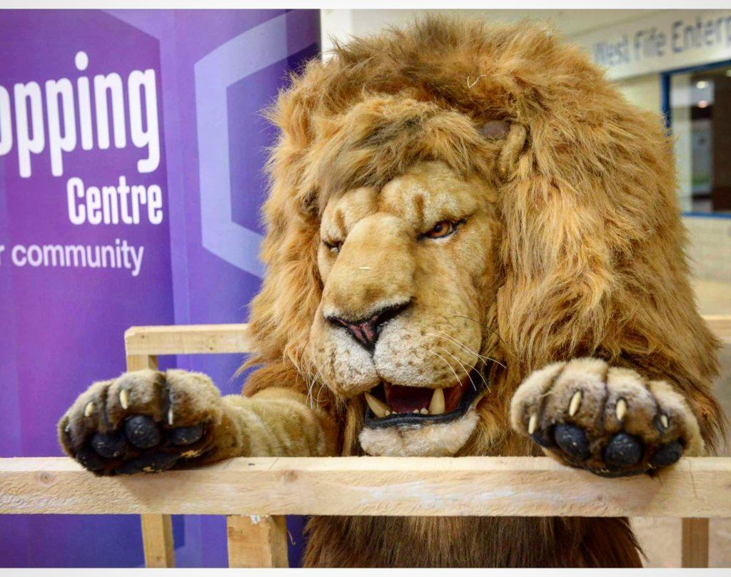 hire a safari animal hire safari experience hire a lion for events hire a real lion for events hire a fossil hire a trex skull t-rex skull hire prop hire dinosaur installations hire museum quality props for film hire aslan hire narnia animals hire circus animals