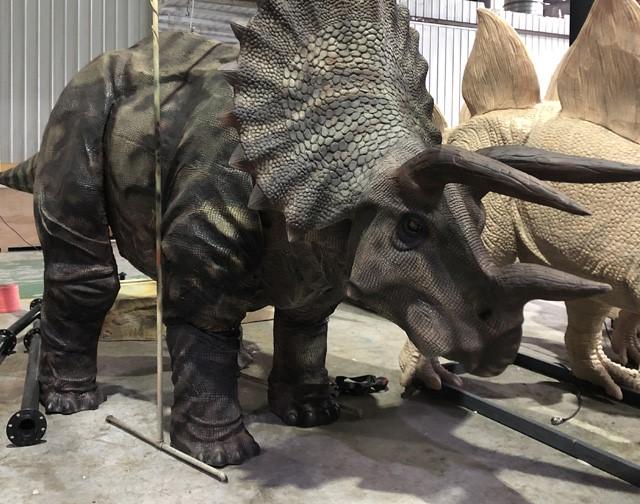hire a triceratops hire dinosaurs in london hire a dinosaur uk 