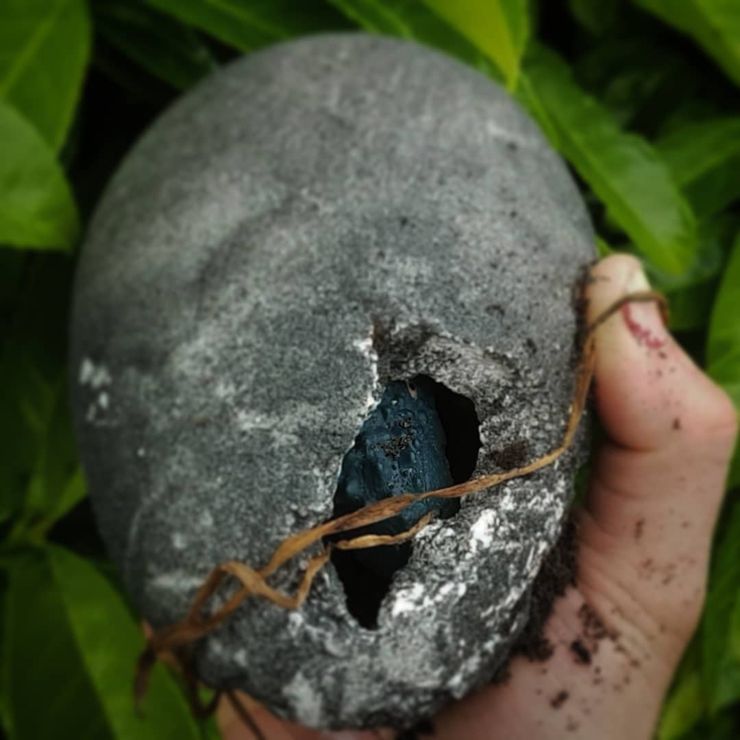 Hire a Hatching Dino - Hatchlings - Creature Events