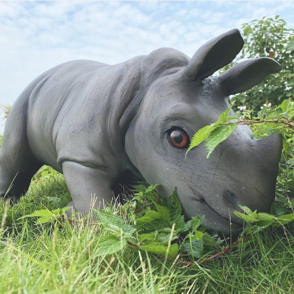 hire a rhino in the UK rhino hire