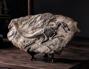 inosaur installations hire museum quality props for film  hire dinosaur props hire fossils hire museum fossils hire museum grade fossils hire dinosaur fossil hire real fossils hire realistic fossils hire museum fossil dinosaur fossil hire fossils in stone fossils raptor fossil pteranodon