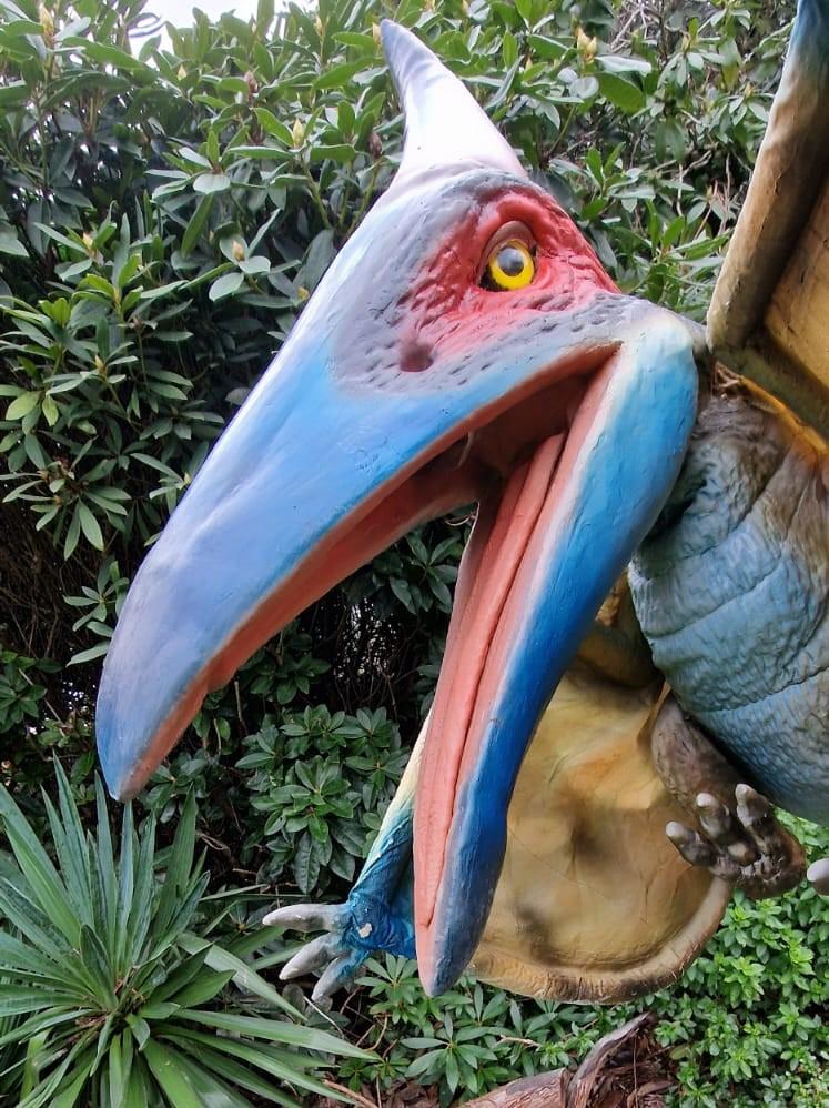hire a pteranodon Hire a dinosaur hire a dino Chomp the T-Rex Hire a dinosaur Andy Day Dinosaur events Hire a dinosaur cbbc dinosaurs hire a dinosaur hire the biger most realistic dinosaur in the uk