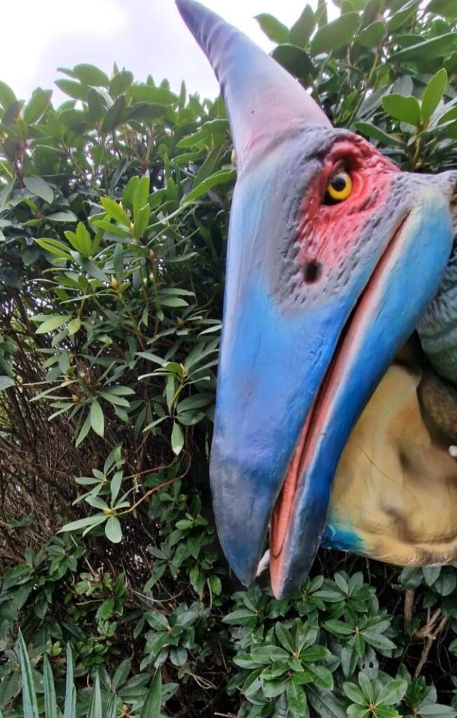 hire a pteranodon Hire a dinosaur hire a dino Chomp the T-Rex Hire a dinosaur Andy Day Dinosaur events Hire a dinosaur cbbc dinosaurs hire a dinosaur hire the biger most realistic dinosaur in the uk