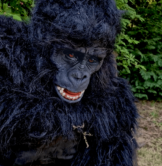 hire a realistic gorilla costume uk hire a realistic gorilla uk hire a realistic monkey hire a realistic gorilla hire a realistic ape the most realistic gorilla costume planet of the apes costume film quality gorilla costume king king costume movie creature suit