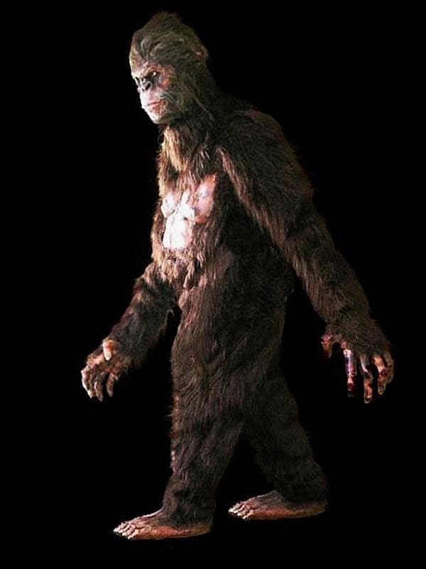 Hire scare actors for events hire monsters hire minotaur creature  hire scare performer halloween bigfoot hire bigfoot hire monster