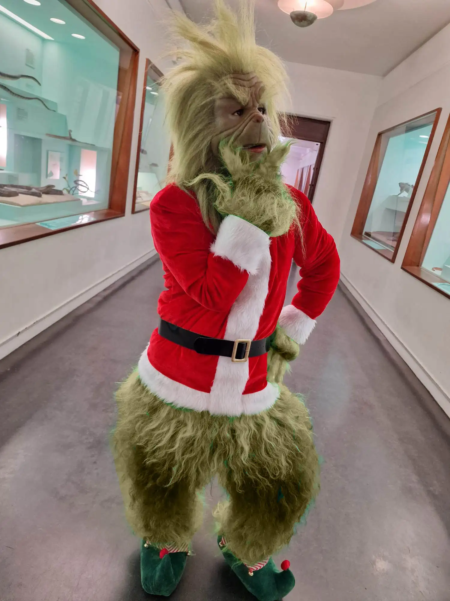 hire the grinch best looking grinch where can i hire the most realistic grinch professional performance best grinch actor best grinch costume hire the grinch hire a grinch costume