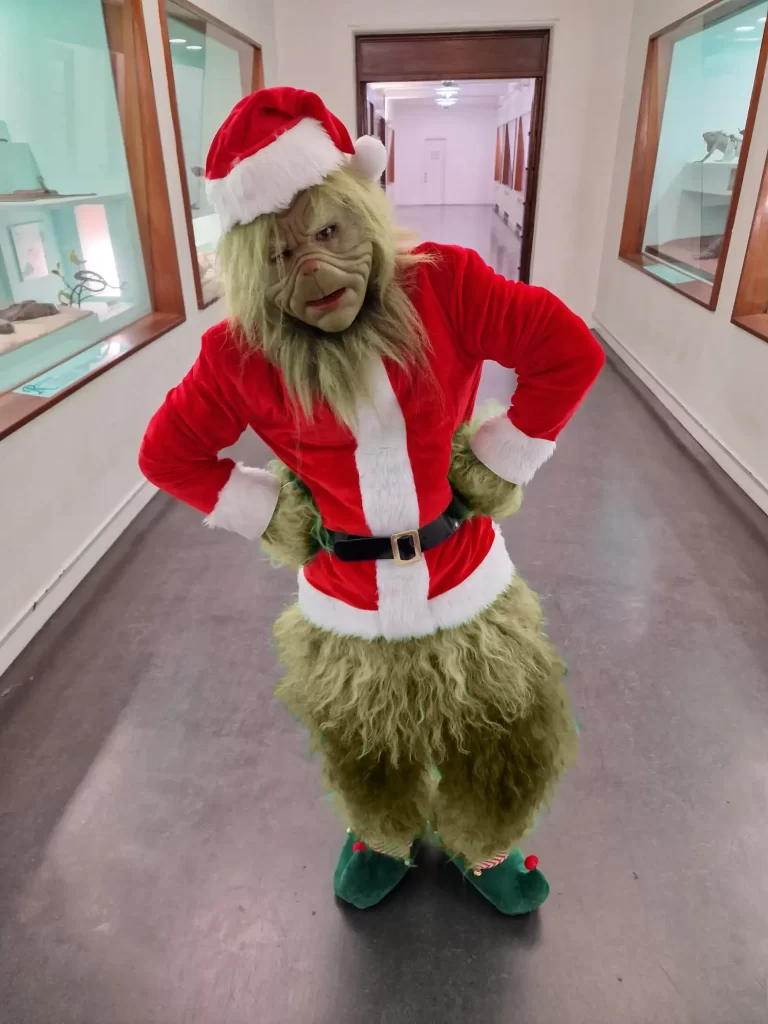hire the grinch best looking grinch where can i hire the most realistic grinch professional performance best grinch actor best grinch costume hire the grinch hire a grinch costume