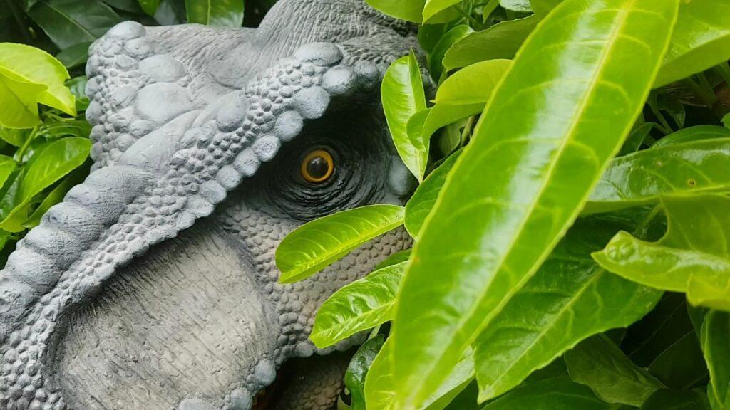 hire a stegosaurus hire a stegosaurus costume hire a triceratops hire a triceratops costume unique dinosaur hire company hire a dinosaur for events hire a realistic dinosaur costume who is the best dinosaur costume company jurassic world events jurassic world trailer jurassic world dinosaur costume