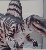 hire a spinosaurus dinosaur hire slice the spinosaurus hire a realistic dinosaur Jurassic world activations Jurassic world media events