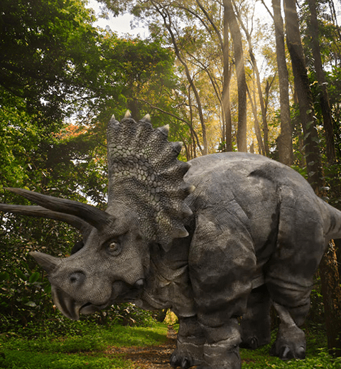hire a stegosaurus hire a stegosaurus costume hire a triceratops hire a triceratops costume unique dinosaur hire company hire a dinosaur for events hire a realistic dinosaur costume who is the best dinosaur costume company jurassic world events jurassic world trailer jurassic world dinosaur costume
