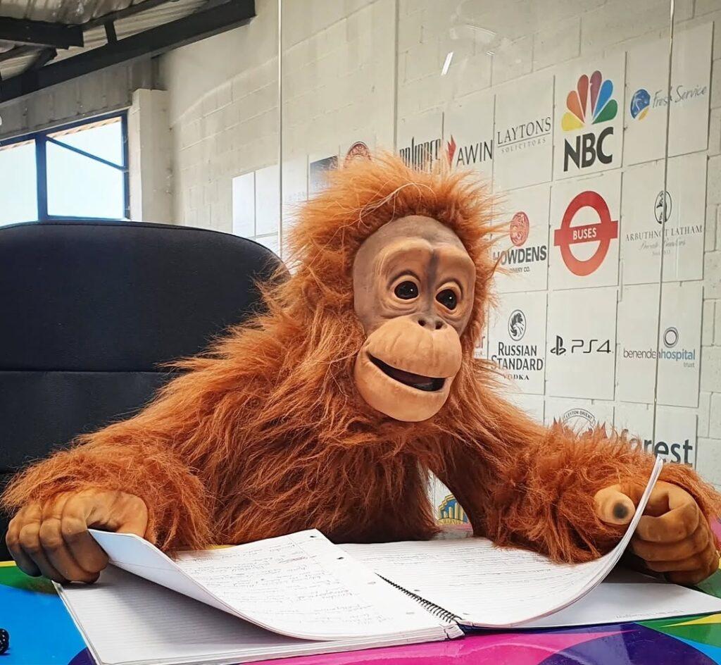 hire a realistic gorilla costume uk hire a realistic gorilla uk hire a realistic monkey hire a realistic gorilla hire a realistic ape the most realistic gorilla costume planet of the apes costume film quality gorilla costume king king costume movie creature suit