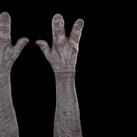 hire an alien costume hire realistic alien for film hire a grey alien