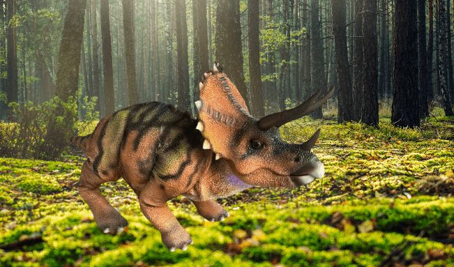 hire bumblebee transformer 2024 transformers hire a raptor hire a realistic raptor for events jurassic world raptor scratch realistic baby raptor hire a stegosaurus hire a stegosaurus costume hire a triceratops hire a triceratops costume unique dinosaur hire company hire a dinosaur for events hire a realistic dinosaur costume who is the best dinosaur costume company jurassic world events jurassic world trailer jurassic world dinosaur costume rent a dinosaur hire a dinosaur hire book a realistic dinosaur book the best dinosaurs dinos live dinosaurs live dinos for events book a t-rex hire a raptor hire a real dinosaur hire a gorilla hire a transformer biggest dinosaurs hire a real robot. dino robot. Baby triceratops. Hire a dino baby. Natural History Museum