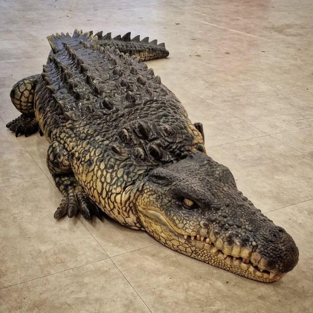 hire a crocodile hire a real crocodile effect for event filming crocodile uk Hire a Gorilla for Events in London & the UK – The Ultimate PR Stunt Looking for something bold? Searching for: “hire a gorilla costume UK” “gorilla meet and greet London” “viral event entertainment UK” Why Gorilla Hire Works A giant gorilla appearance: Stops people in their tracks Creates shareable viral content Works brilliantly for brand activations Ideal for: Marketing stunts Shopping centre promotions Festival entertainment PR launches Creature Events Gorilla Experiences Realistic gorilla suits with trained performers Interactive roaming performances Photo opportunities that drive engagement 👉 If your event needs impact, hire a gorilla. hire a minotaur realistic creature suits realistic monster costume film quality monster costume hire a monster for filming minotaur hire a reality minotaur silicone monster suits for film