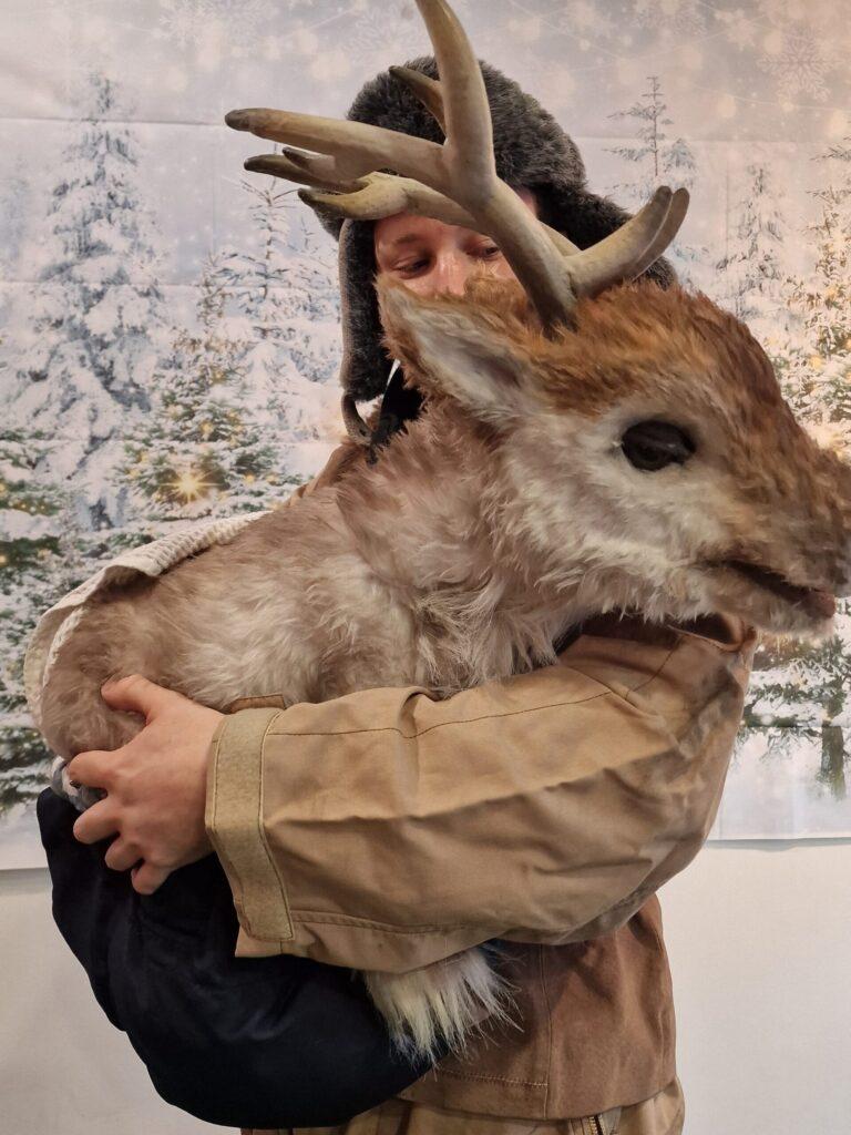 hire a baby reindeer for events winter events ideas hire a reindeer for events christmas event activations