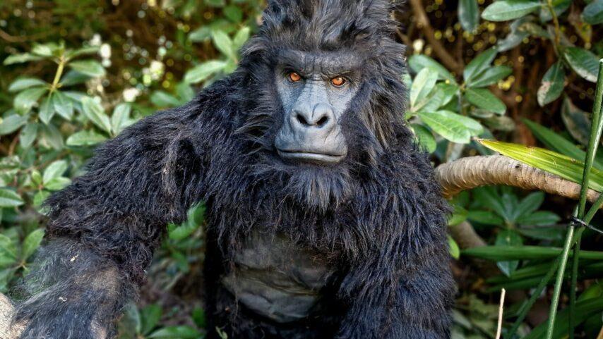 Hire a Gorilla for Events in London & the UK – The Ultimate PR Stunt Looking for something bold? Searching for: “hire a gorilla costume UK” “gorilla meet and greet London” “viral event entertainment UK” Why Gorilla Hire Works A giant gorilla appearance: Stops people in their tracks Creates shareable viral content Works brilliantly for brand activations Ideal for: Marketing stunts Shopping centre promotions Festival entertainment PR launches Creature Events Gorilla Experiences Realistic gorilla suits with trained performers Interactive roaming performances Photo opportunities that drive engagement 👉 If your event needs impact, hire a gorilla. hire a minotaur realistic creature suits realistic monster costume film quality monster costume hire a monster for filming minotaur hire a reality minotaur silicone monster suits for film hire bumblebee transformer 2024 transformers hire a raptor hire a realistic raptor for events jurassic world raptor scratch realistic baby raptor hire a stegosaurus hire a stegosaurus costume hire a triceratops hire a triceratops costume unique dinosaur hire company hire a dinosaur for events hire a realistic dinosaur costume who is the best dinosaur costume company jurassic world events jurassic world trailer jurassic world dinosaur costume rent a dinosaur hire a dinosaur hire book a realistic dinosaur book the best dinosaurs dinos live dinosaurs live dinos for events book a t-rex hire a raptor hire a real dinosaur hire a gorilla hire a transformer biggest dinosaurs hire a real robot