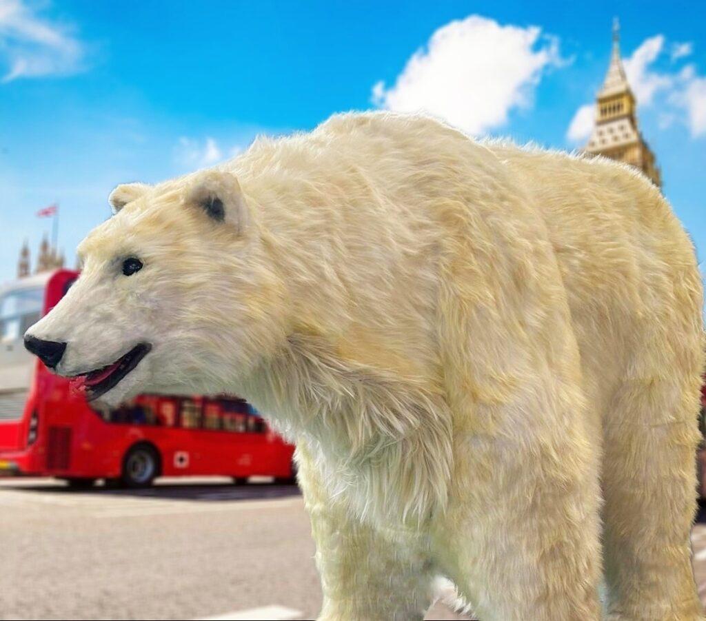 Berg the Polar bear is an eye-catching spectacle, to make people stop in their tracks. Perfect for Christmas events, conservation events, international events. Hire a polar bear hire a realistic polar bear. Similar to Coca Cola Polar Bear. Super realistic. UK Hire, London hire, one of a kind hire. Entertainment for all ages.