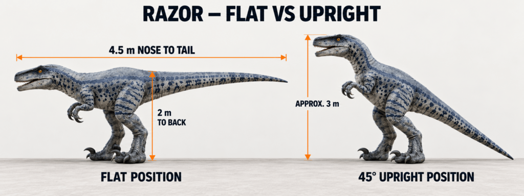 how big is razor the raptor