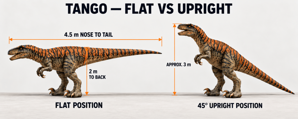 how big is Tango the raptor i want to hire a raptor